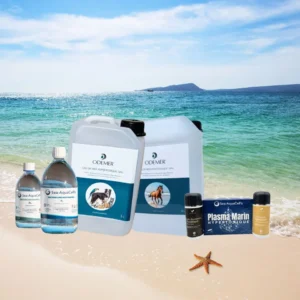 vue de eau de mer a boire bienfaits bretagne saint malo