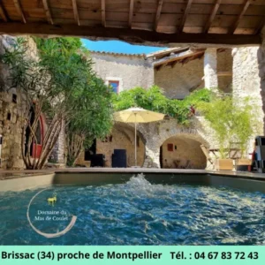 Cour intérieure en pierre avec parasol et bassin pour séminaire professionnel au Mas de Coulet